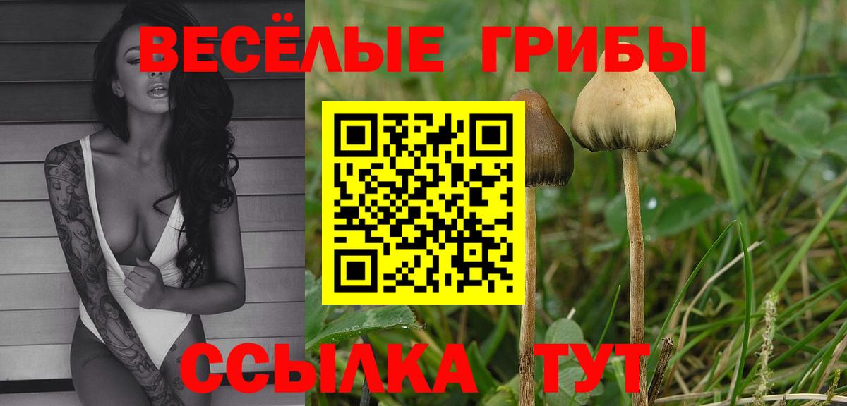 Псилоцибиновые грибы GOLDEN TEACHER  Вход с VPN  Верхняя Салда 